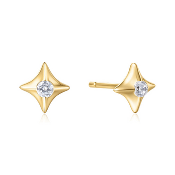 Silver Earring
